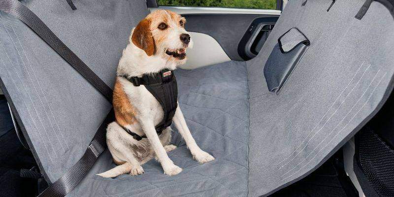 car dog seat belt