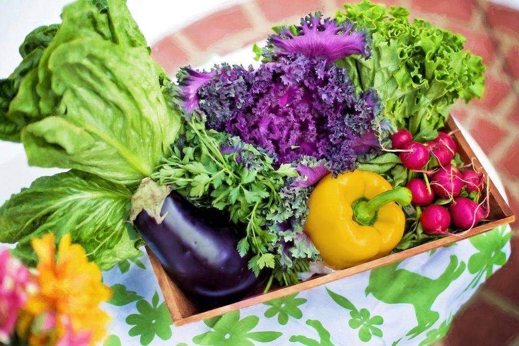 Homegrown Vegetables