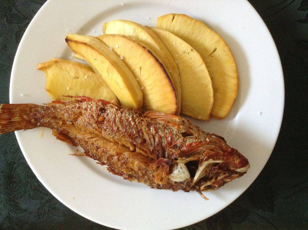 Breadfruit and fried jackfish: National Dish of Saint Vincent and the grenadines