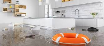 How to Start Water Damage & HVAC Duct Cleaning Business