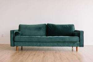 Protect Furniture from Pests