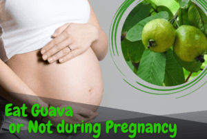 Can you eat guava during pregnancy or not