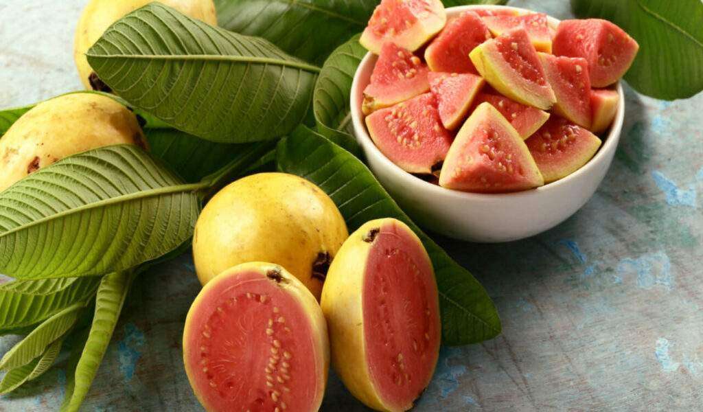 eat guava during pregnancy