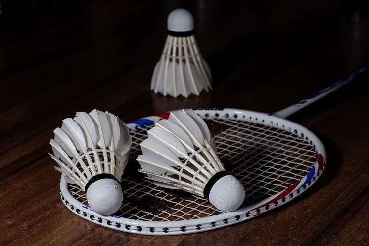 Badminton Court dimensions