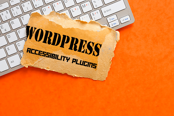 WordPress Accessibility Plugins