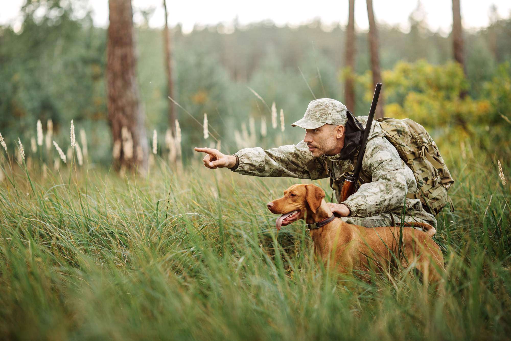 How Does A Hunting Land Lease Work?